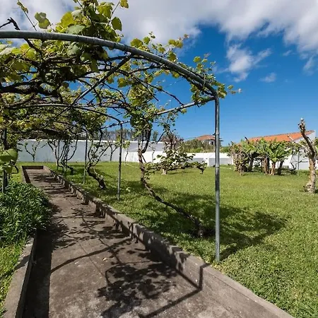 Sea Avenue Palace بيت للعطل